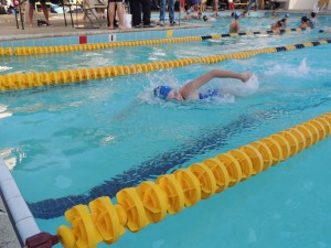 Carlmont sophomore swimmer Sam King reaches for the wall during a race.