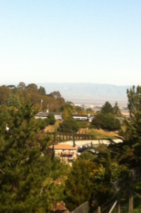 The clear blue skies of the Bay Area